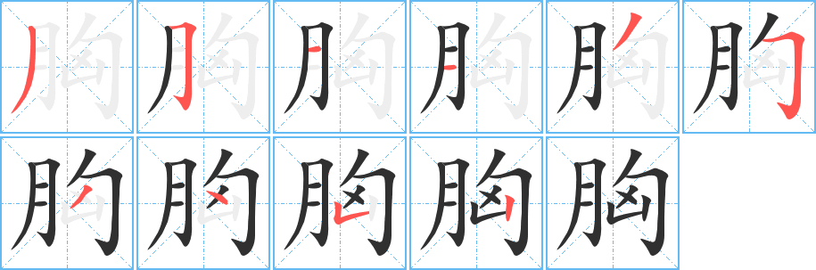 胸笔顺分步演示